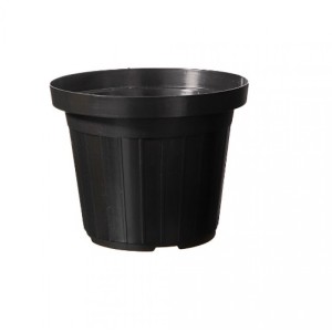 VASO 11-PF LISO